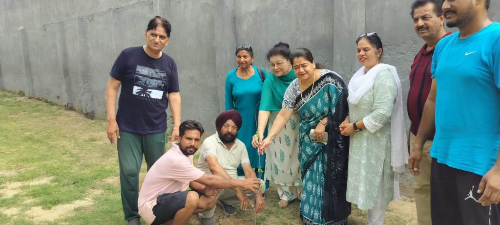 World Paper Day Celebrated with Tree Plantation